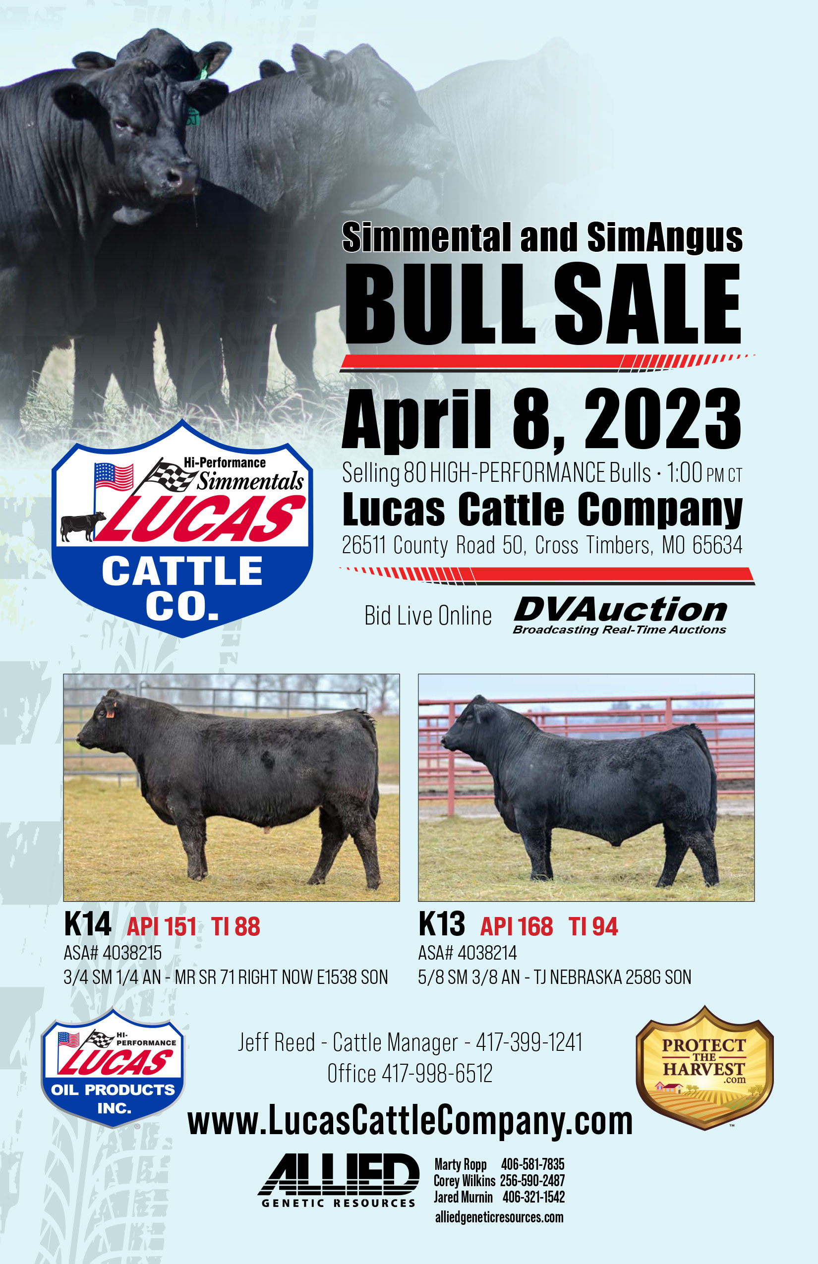 Lucas Cattle Company Simmental and SimAngus Bull Sale - April 8, 2023